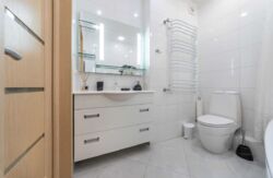 ������� �������� �����������, 1, ���, ����������� ���� 20