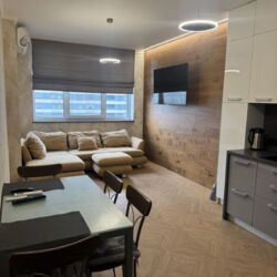 Здається квартира Київ, Дніпровський, Євген Сверстюка, 4 фото 3 Здається квартира Київ, Дніпровський, Євген Сверстюка, 4 фото 3