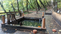 ������� �������� �����.�����, 54 �, ���, ����������� ���� 19