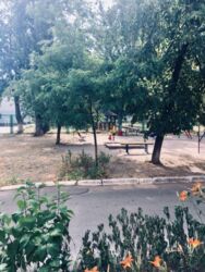 ������� �������� �����. ����������, 6�, ���, ����������� ���� 6