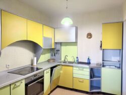 ������� �������� ���������� ���������, 2/12, ���, �����������, �. ������� ���� 2