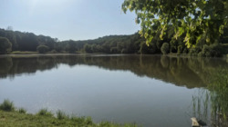 ������� �������� �����.�����, 54 �, ���, ����������� ���� 16