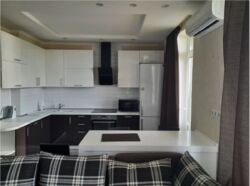 ������� �������� �������� �������������, 71�, ���, ������������� ���� 3