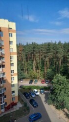 ������� �������� ����� ����������, 16, ���, ����������� ���� 22