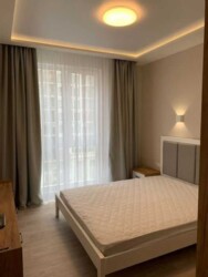 ������� �������� ������� �����������, 24, ���, ����������� ���� 3