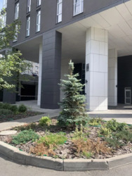 ������� �������� �������������, 5�, ���, ������������� ���� 13