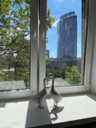 Здається квартира Київ, Печерський, Шовковична, 48 фото 19 Здається квартира Київ, Печерський, Шовковична, 48 фото 19