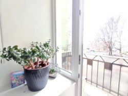 ������� �������� �. �����������, 8�, ���, ������������� ���� 5