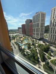 ������� �������� �������� ����, 1�, ���, ����������� ���� 7