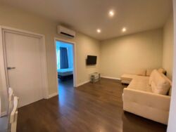 ������� �������� ������� ��������, 41�, ���, ����������, �. �������� ���� 10