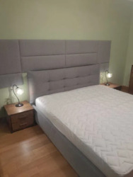 ������� �������� ����� ���������, 29�, ���, ����������� ���� 12