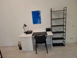 ������� �������� �������������, 19�, ���, �������������, �. ������ ����������� ���� 11