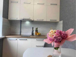 ������� �������� ����� ���������, 3�, ���, ������������ ���� 11