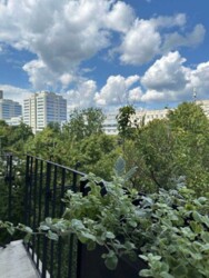 ������� �������� ����. ������� ������, 7, ���, �����'������� ���� 16