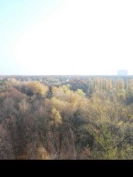 ������� �������� ��������, 9�, ���, ����������� ���� 15