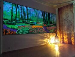 Здається квартира Київ, Печерський, Омеляновича Павленка, 11 фото 5 Здається квартира Київ, Печерський, Омеляновича Павленка, 11 фото 5