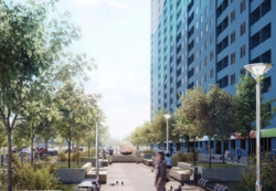 ������� �������� ��������, 24, ���, ����������� ���� 8