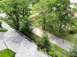 ������� �������� ������������, 100�, ���, ����������� ���� 17