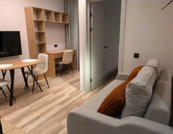 Здається квартира Київ, Подільський, Івана Виговського, 40/12 фото 4 Здається квартира Київ, Подільський, Івана Виговського, 40/12 фото 4