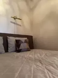 ������� �������� ���. �������������, 1, ���, ������������� ���� 14