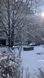 ������� �������� ������������� ����., 2, ���, �������������, �. �������� ���� 20