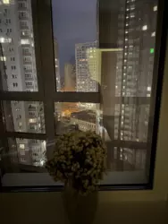 Здається квартира Київ, Дарницький, Бориса Гмирі, 12Б, м. Позняки фото 8 Здається квартира Київ, Дарницький, Бориса Гмирі, 12Б, м. Позняки фото 8