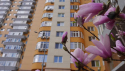 Здається квартира Кондратюка, 7, Київ, Оболонський фото 1 Здається квартира Кондратюка, 7, Київ, Оболонський фото 1