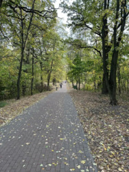 Здається квартира Некрасова, 12, Київ, Подільський фото 17 Здається квартира Некрасова, 12, Київ, Подільський фото 17