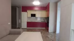   , , .  , 5  11