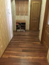   , 볿 , 50/2, .    8