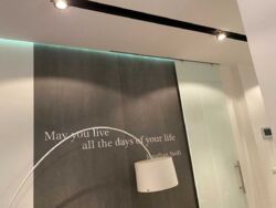 ������� �������� ���. ����� ����������, 11, ���, ���������� ���� 22