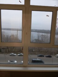 ������� �������� ����������, 54, ���, ���������� ���� 13