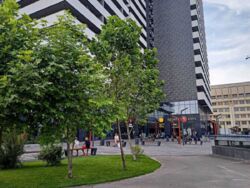 ������� �������� ������������, 100�, ���, �����������, �. ������������ ���� 14