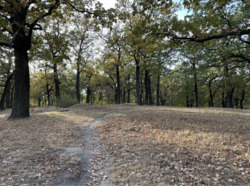 Здається квартира Некрасова, 12, Київ, Подільський фото 18 Здається квартира Некрасова, 12, Київ, Подільський фото 18