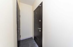 ������� �������� �������������� ��������, 5�, ���, ������������� ���� 13