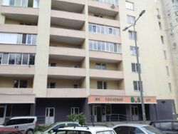 ������� �������� ��������, 5, ���, ������������� ���� 17