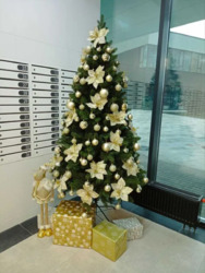 ������� �������� ³����� ���������, 6, ���, ���������� ���� 11