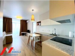 ������� �������� ������������, 100�, ���, ����������� ���� 1