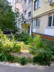 Здається квартира Київ, Голосіївський, вул. Деміївська, 51, м. Голосіївська фото 23 Здається квартира Київ, Голосіївський, вул. Деміївська, 51, м. Голосіївська фото 23