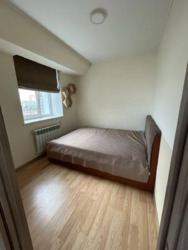 ������� �������� ������������, 41, ���, �����'������� ���� 7