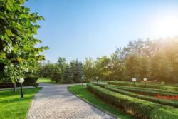 Здається квартира Андрія Верхогляда, 6 Б, Київ, м. Звіринецька фото 9 Здається квартира Андрія Верхогляда, 6 Б, Київ, м. Звіринецька фото 9