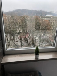 ������� �������� ������������, 4�, ���, ���������� ���� 7