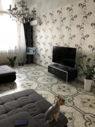 Здається квартира Петра Григоренка, 22/20, Київ, Дарницький фото 12 Здається квартира Петра Григоренка, 22/20, Київ, Дарницький фото 12