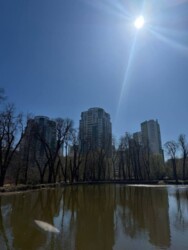 Здається квартира Вишгородська, 45, Київ, Подільський фото 17 Здається квартира Вишгородська, 45, Київ, Подільський фото 17