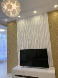 ������� �������� �����������, 13, ��� ���� 2