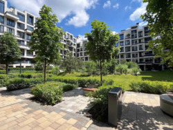   , ,   (ѳ' ), 12   11