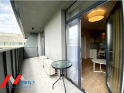 ������� �������� ������������, 100�, ���, ����������� ���� 16