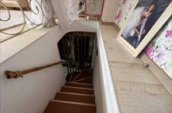 ������� �������� ���������� �������, 16�/1, ���, ����������� ���� 18