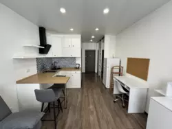 Здається квартира Київ, Печерський, вул. Соловцова, 2 фото 5 Здається квартира Київ, Печерський, вул. Соловцова, 2 фото 5