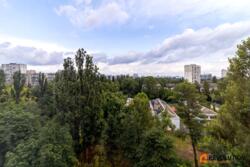 ������� �������� ������ ���������, 37, ��� ���� 13